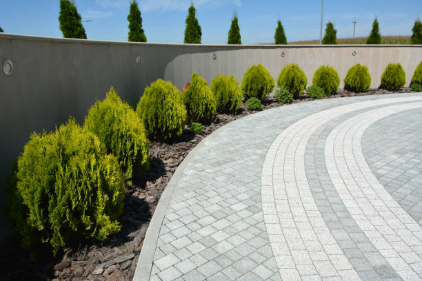 Best Concrete Paver Driveway  in Kaufman, TX